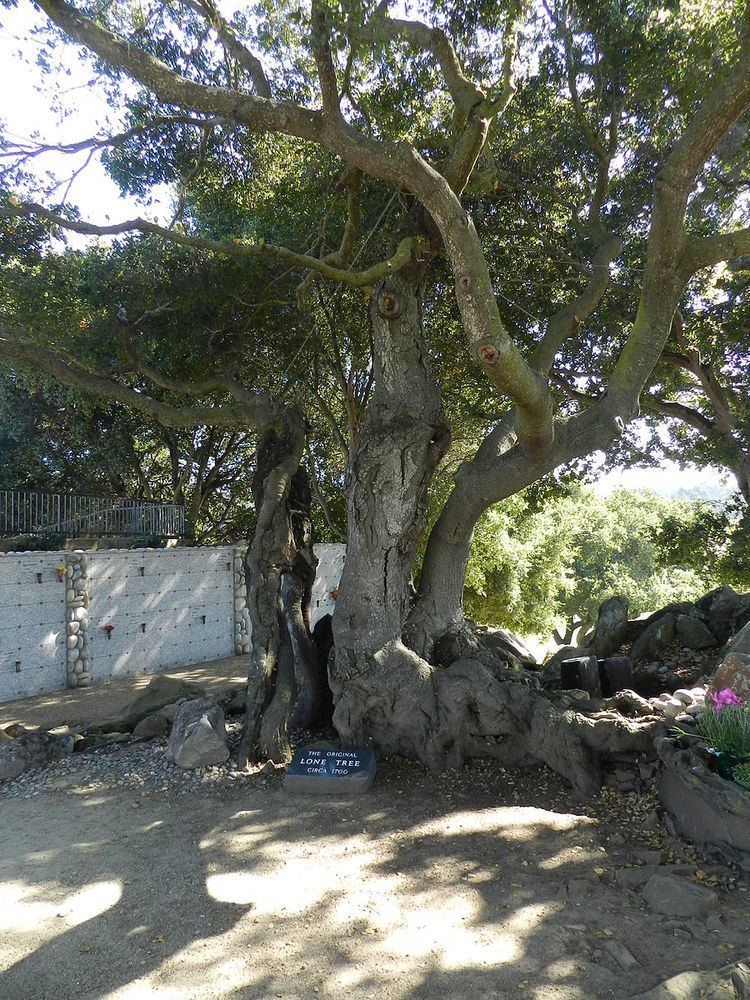 Lone Tree Cemetery, Fairview, California