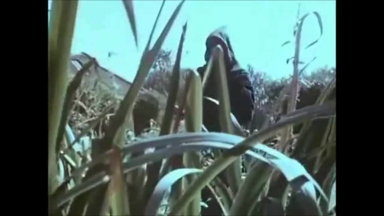 Lonely Water The Spirit Of Dark And Lonely Water Public Information Film 1973