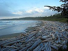 Long Beach (British Columbia) httpsuploadwikimediaorgwikipediacommonsthu