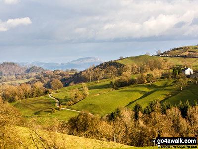 Long Mountain (Powys) wwwgo4awalkcomwalkphotographsronkyte8jpg