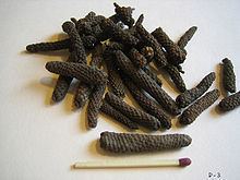 Long pepper Long pepper Wikipedia