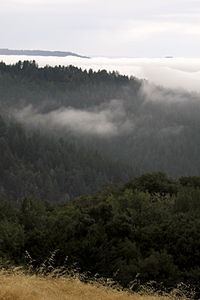 Long Ridge (San Mateo County, California) httpsuploadwikimediaorgwikipediacommonsthu