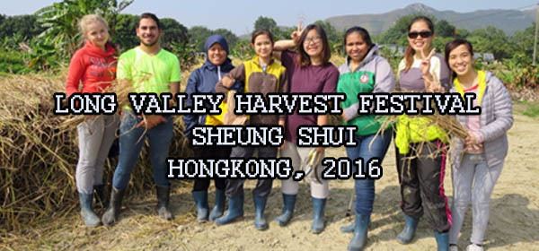 Long Valley, Hong Kong Long Valley Harvest Festival Hongkong 2016