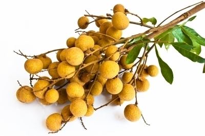 Longan What Is the Difference Between the Lychee Rambutan and Longan