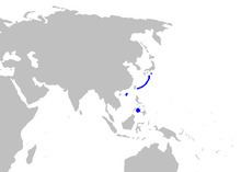 Longfin catshark httpsuploadwikimediaorgwikipediacommonsthu