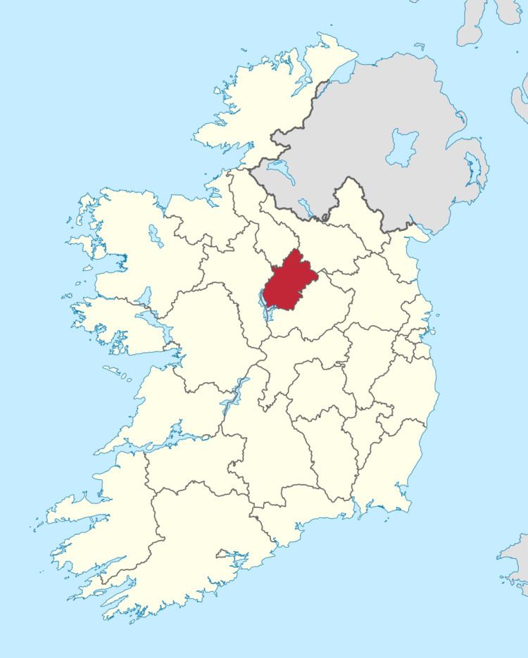 Longford County Council election, 2009