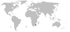 Longnose pygmy shark httpsuploadwikimediaorgwikipediacommonsthu