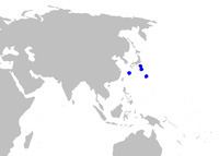 Longnose sawtail catshark httpsuploadwikimediaorgwikipediacommonsthu