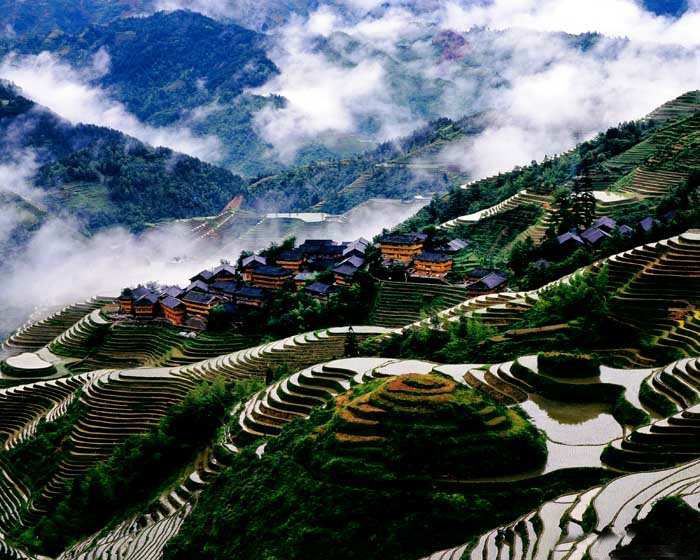 Longsheng Rice Terrace Longsheng Rice Terraces Guilin tour China tour