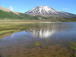 Lonquimay (volcano) httpsuploadwikimediaorgwikipediacommonsthu