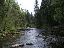 Loobu (river) httpsuploadwikimediaorgwikipediacommonsthu