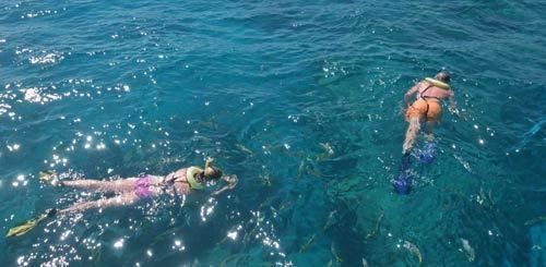 Looe Key Snorkeling Looe Key Reef It39s Deep But Has Big Fish