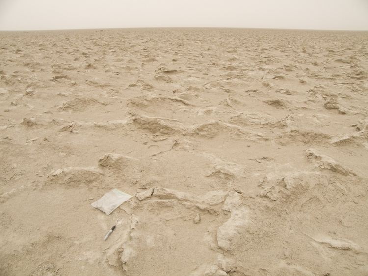 Lop Desert Tarim Basin Xinjiang China Climate Change Institute