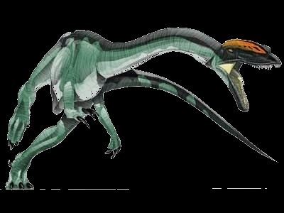 Lophostropheus Liliensternus dinosaur