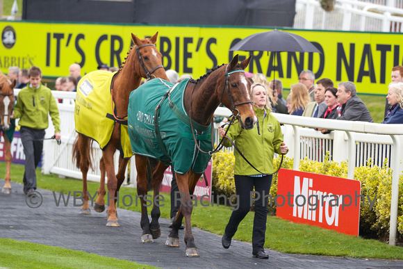 Lord Gyllene WBY Horse Racing Photography Crabbies Grand National 2014 Lord