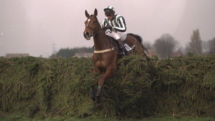 Lord Gyllene Lord Gyllene winner of the 1997 Aintree Grand National has died