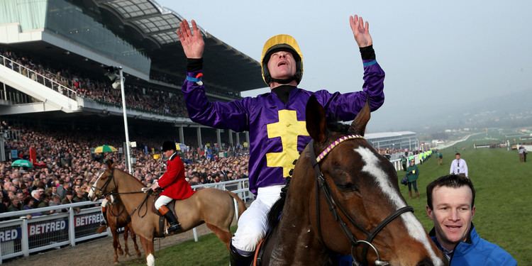 Lord Windermere Cheltenham Races Lord Windermere Wins Gold Cup PICTURES The