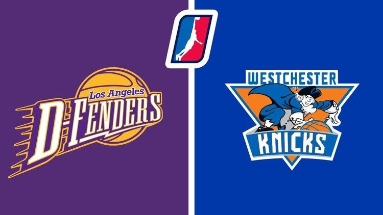 Los Angeles D-Fenders NBA DLeague Los Angeles DFenders Westchester Knicks 20141125