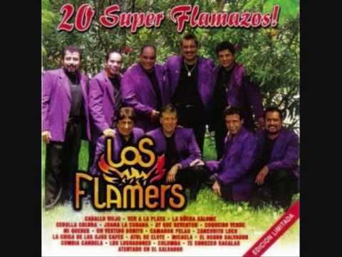 Los Flamers LOS FLAMERS Camaron Pelaowmv YouTube