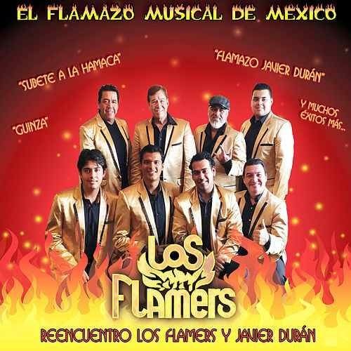 Los Flamers Play amp Download Reencuentro los Flamers y Javier Durn by Los