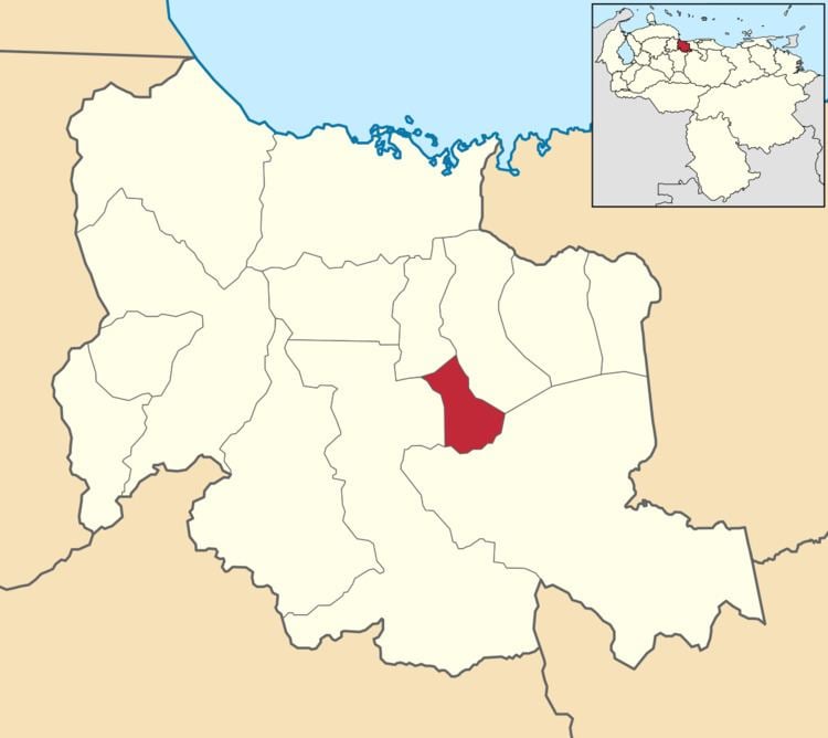 Los Guayos Municipality