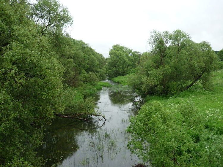 Losmina River