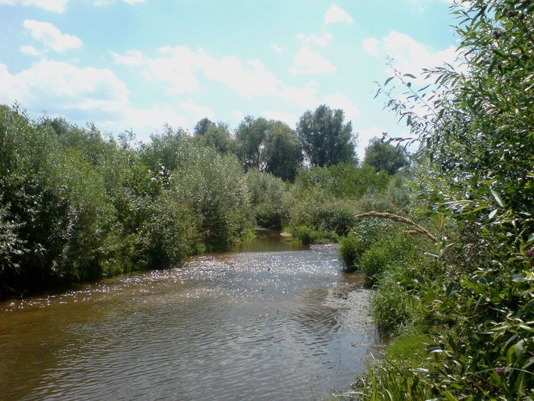 Losse (river) httpsuploadwikimediaorgwikipediacommons44