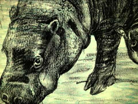 Lost Animals of the 20th Century Lost Animals of the 20th Century Season 1 quotEpisode 11quot YouTube
