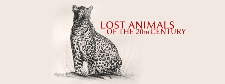 Lost Animals of the 20th Century 3bpblogspotcomSjKPKLmzEYVg3VWpYwelIAAAAAAA