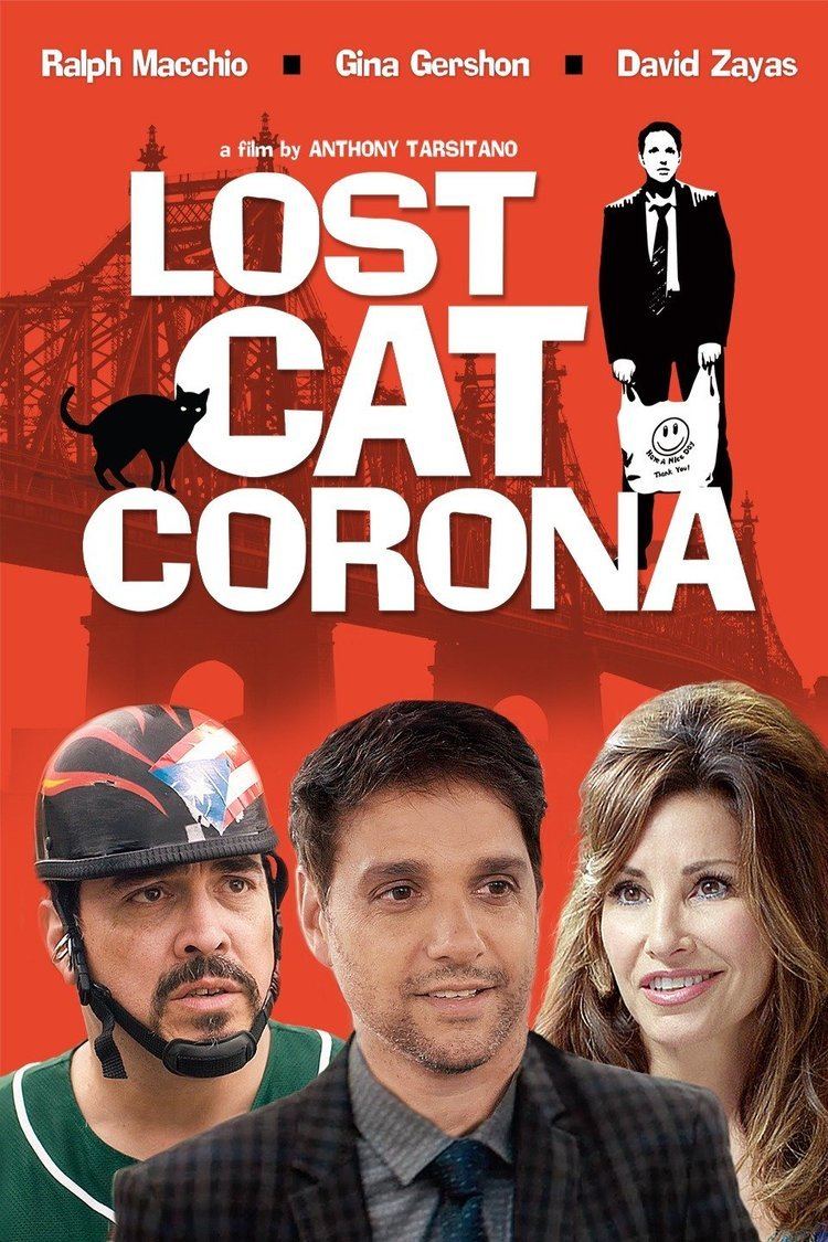 Lost Cat Corona wwwgstaticcomtvthumbmovieposters13378054p13