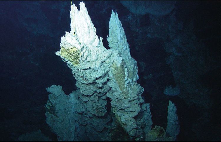 Lost City Hydrothermal Field The Lost City hydrothermal field under the midAtlantic Ocean