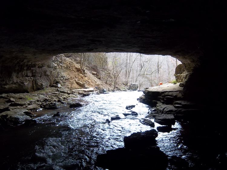 Lost Cove Cave BUGGYTOP CAVE FRANKLIN COUNTY TENNESSEE HopAmericacom