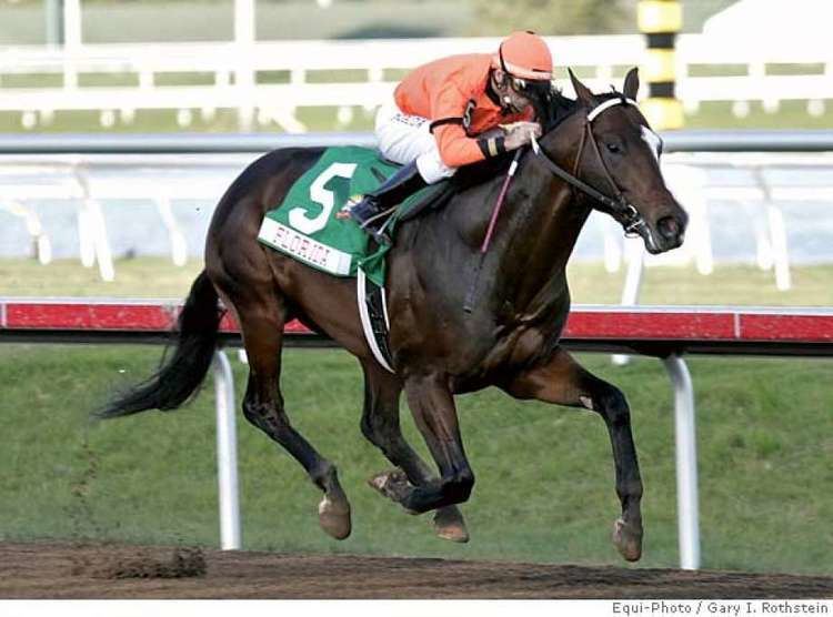 Lost in the Fog Lost in the Fog euthanized Eclipse Award winner loses battle with