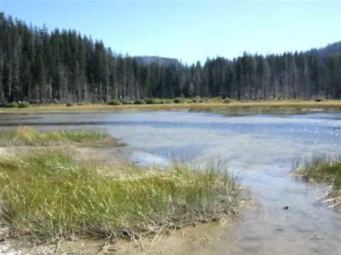 Lost Lake (Santiam Pass, Linn County, Oregon) httpsiytimgcomvihO2Iziutchqdefaultjpg