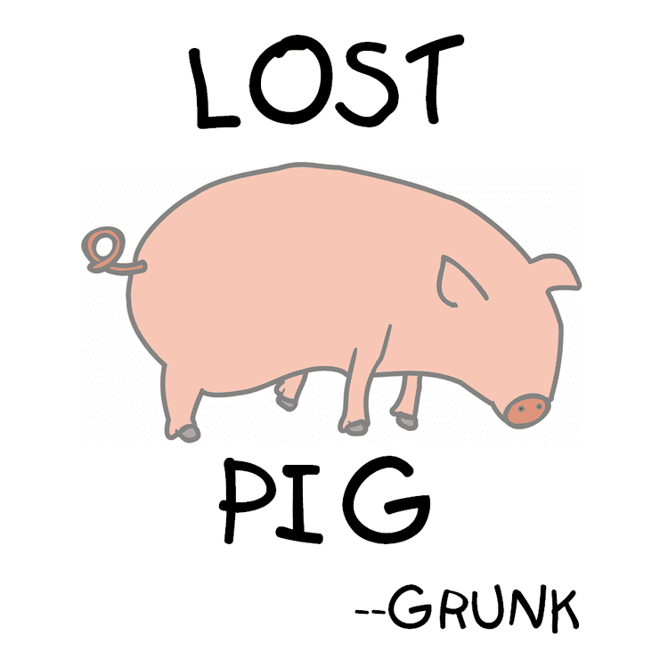 Lost Pig Lost Pig And Place Under Ground