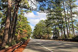 Lost Pines Forest httpsuploadwikimediaorgwikipediacommonsthu