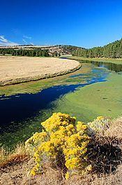Lost River (California) httpsuploadwikimediaorgwikipediacommonsthu