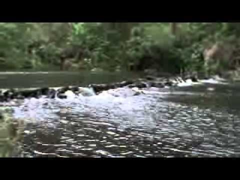 Lostock Dam LOSTOCK DAM YouTube