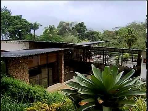 House of Lota de Macedo Soares surrounded by plants and trees