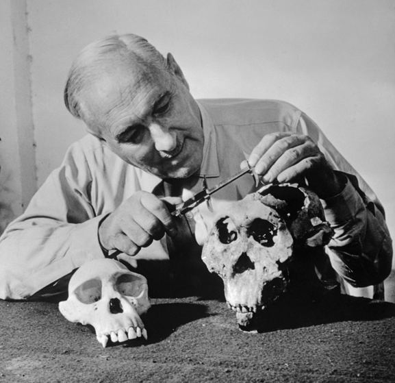 Louis Leakey Lucy and the Leakeys 60How Our Ancestors Evolved