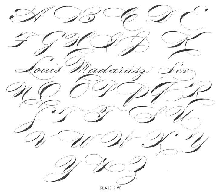 Louis Madarasz Louis Madarasz script Calligraphy Pinterest Scripts