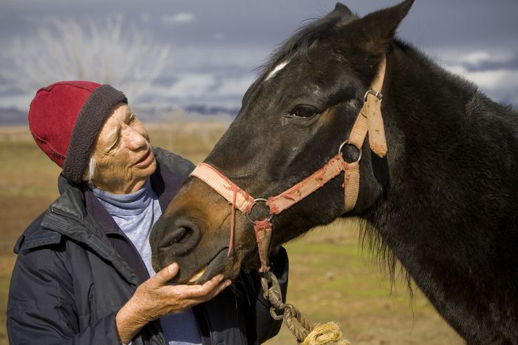 Louise Firouz Louise Firouz 74 Rediscovered Caspian Horse Breed The New York Sun
