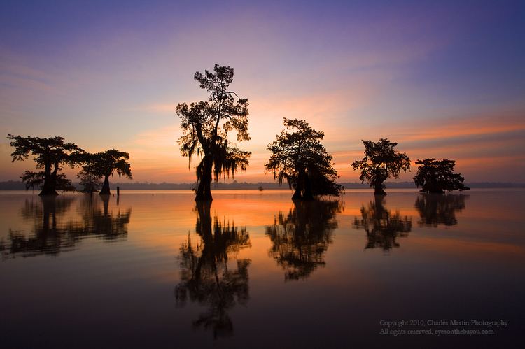 Louisiana Beautiful Landscapes of Louisiana