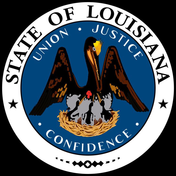 Louisiana state elections, 2007