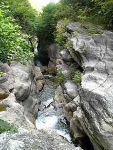 Loup (river) httpsuploadwikimediaorgwikipediacommonsthu