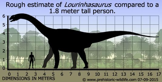 Lourinhasaurus Lourinhasaurus