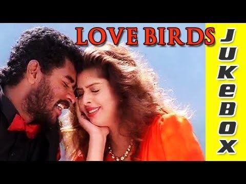 Love Birds (1996 film) Love Birds Tamil Songs Jukebox A R Rahman Hits Valentines Day