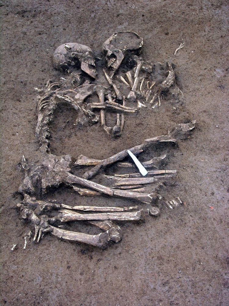 The so-called Lovers of Valdaro, pair of human skeletons at a Neolithic tomb in San Giorgio near Mantua, Italy in 2007.