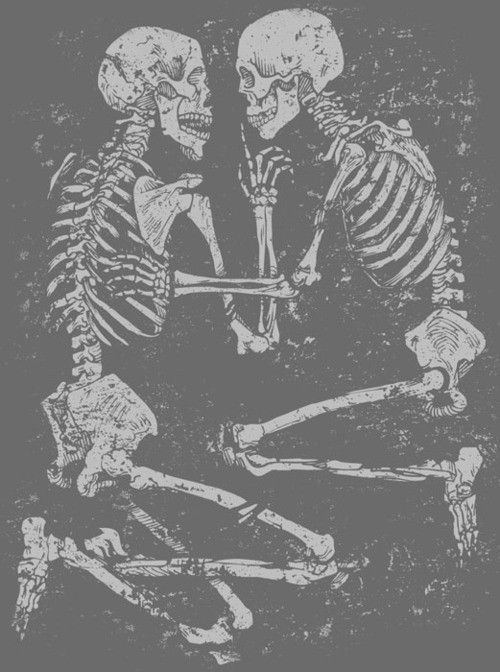 A photo of a pair of human skeletons.