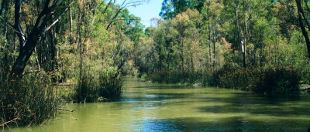 Lower Goulburn National Park Echuca attractions Travel Victoria accommodation amp visitor guide